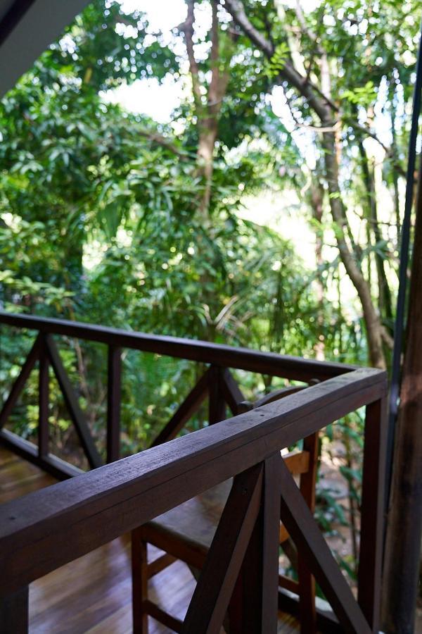 Luz En El Cielo Eco-B&B/Hostel Montezuma Luaran gambar