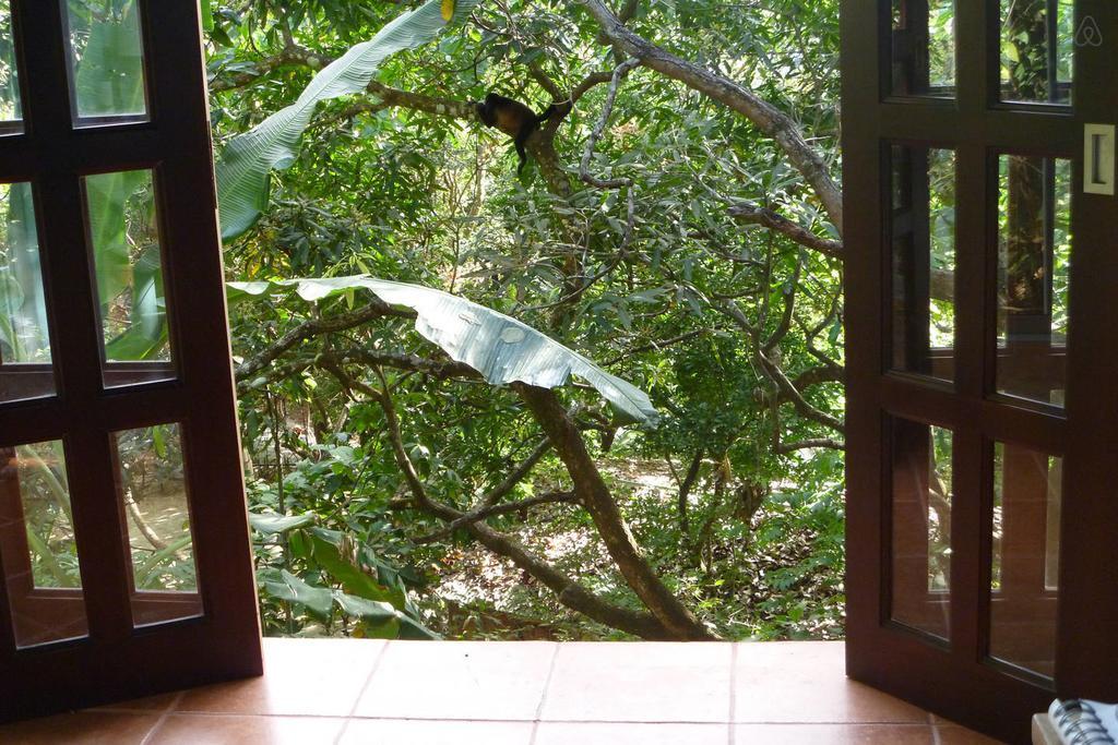 Luz En El Cielo Eco-B&B/Hostel Montezuma Bilik gambar